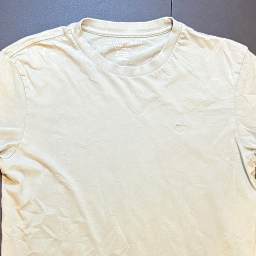 American Eagle Outfitters Men's Crew Neck Tee in Sage Green